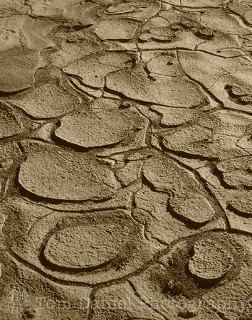 Bronze Mud Patterns #1