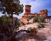 National Park Images