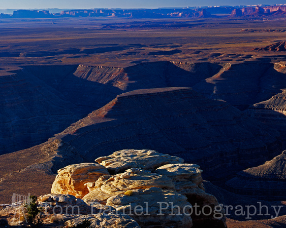 Muley Point Contrast