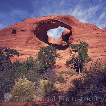 Spider Canyon Arch-SQ