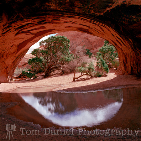 Navajo Arch Reflection