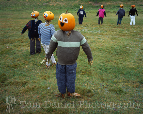 Pumpkin People #2