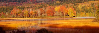 Acadia Fall Panorama