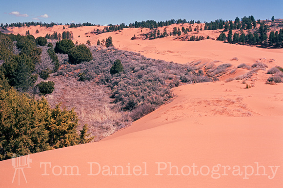 Coral  Pink Sand Dunes