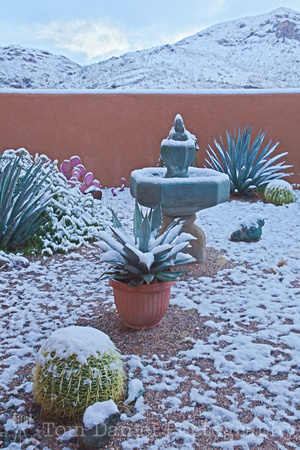 Courtyard in Snow