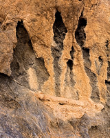 Fall Canyon Eroded Wall