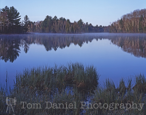 Grass Lake Reflection