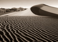 Mesquite Dunes #1 BW