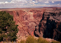 Little Colorado Canyon