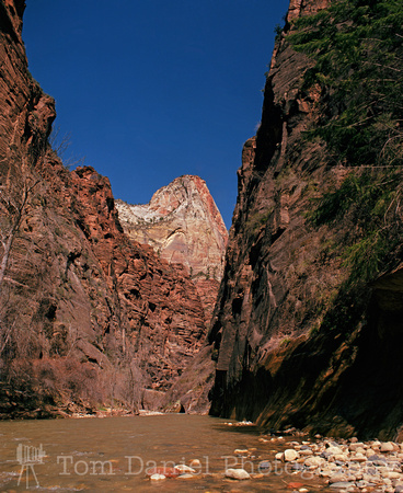 Mouth of Narrows